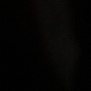 Meet your Posher, Dane